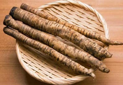 Wild-Harvested Burdock Root: Your Body's Revitalizer