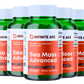 Sea Moss Advanced - Auto Ship & Save