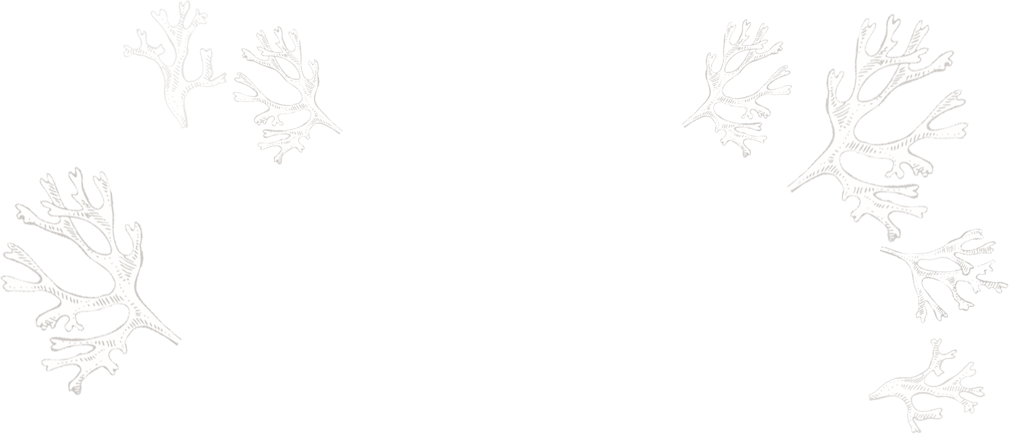 Background texture
