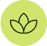 Benefit checklist icon 4