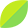 Moringa leaf icon